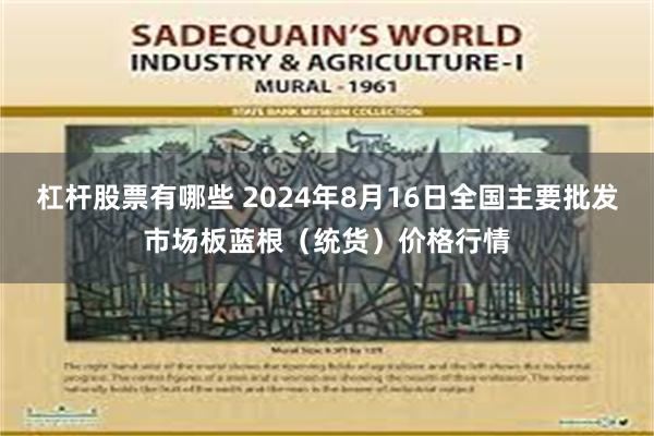 杠杆股票有哪些 2024年8月16日全国主要批发市场板蓝根（统货）价格行情