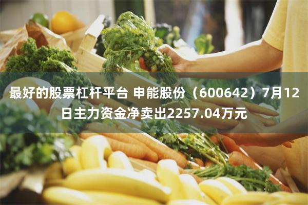 最好的股票杠杆平台 申能股份（600642）7月12日主力资金净卖出2257.04万元