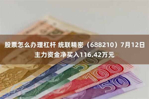股票怎么办理杠杆 统联精密（688210）7月12日主力资金净买入116.42万元