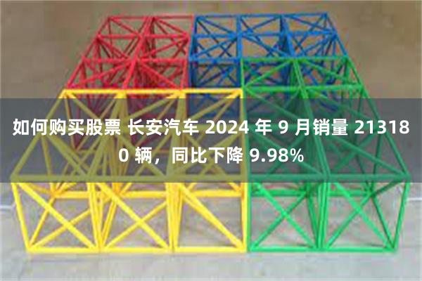 如何购买股票 长安汽车 2024 年 9 月销量 213180 辆，同比下降 9.98%