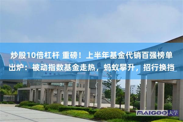 炒股10倍杠杆 重磅！上半年基金代销百强榜单出炉：被动指数基金走热，蚂蚁攀升，招行换挡
