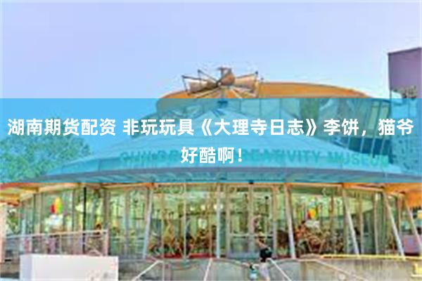 湖南期货配资 非玩玩具《大理寺日志》李饼，猫爷好酷啊！