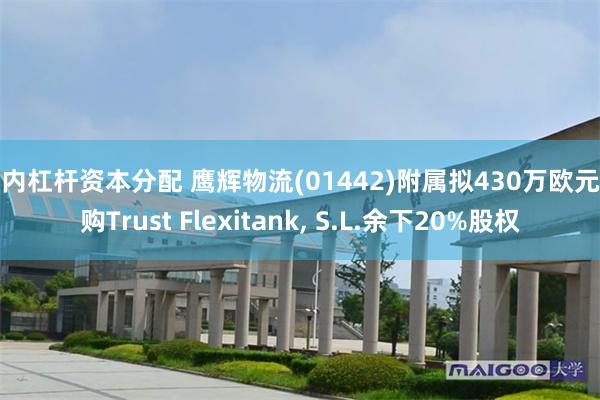 国内杠杆资本分配 鹰辉物流(01442)附属拟430万欧元收购Trust Fle