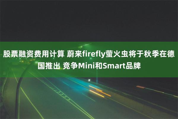 股票融资费用计算 蔚来firefly萤火虫将于秋季在德国推出 竞争Mini和Sm