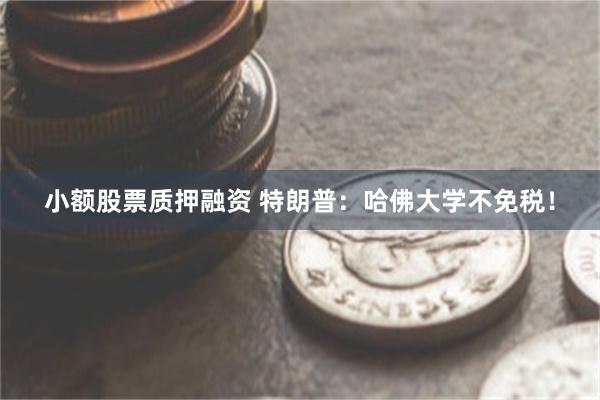 小额股票质押融资 特朗普：哈佛大学不免税！