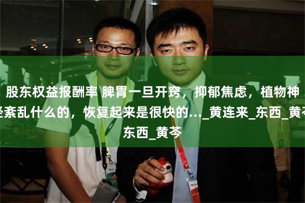 股东权益报酬率 脾胃一旦开窍，抑郁焦虑，植物神经紊乱什么的，恢复起来是很快的..