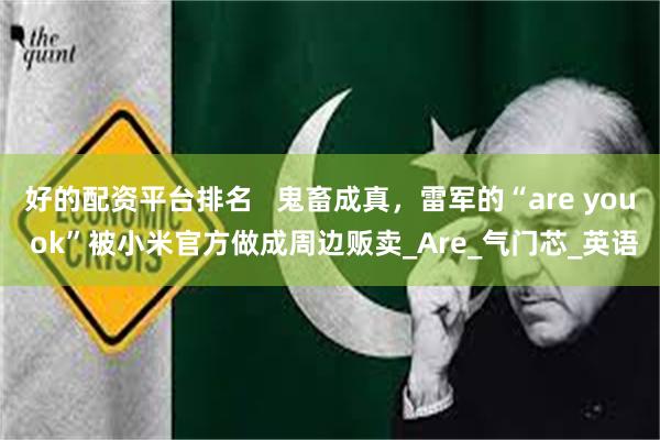 好的配资平台排名   鬼畜成真，雷军的“are you ok”被小米官方做成周边
