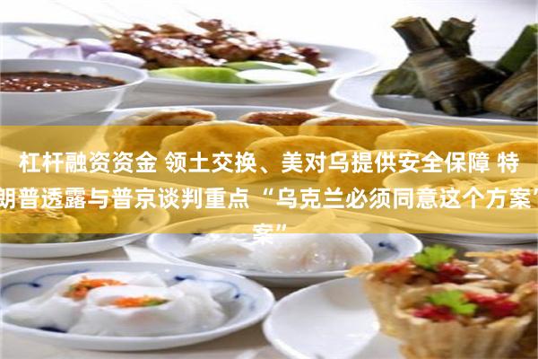杠杆融资资金 领土交换、美对乌提供安全保障 特朗普透露与普京谈判重点 “乌克兰必