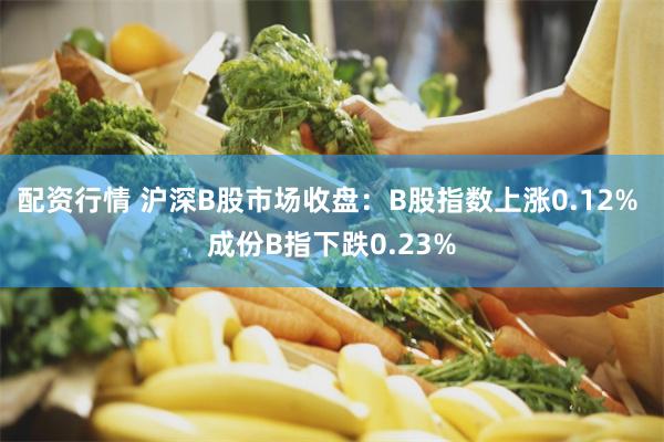 配资行情 沪深B股市场收盘：B股指数上涨0.12% 成份B指下跌0.23%